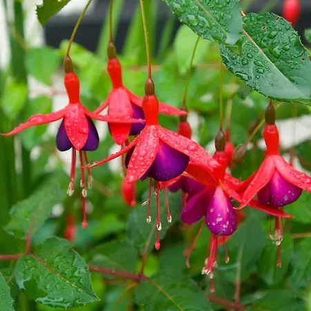Ivy Steps From National Park Дом отдыха *