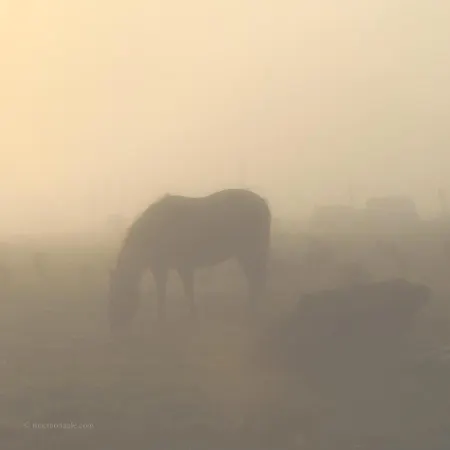 Ivy Steps From National Park Дом отдыха *
