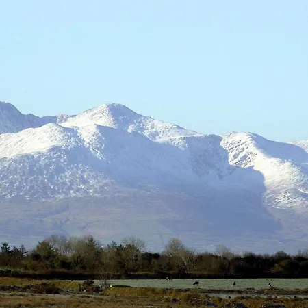 Tatil Evi Ivy Steps From National Park Killarney