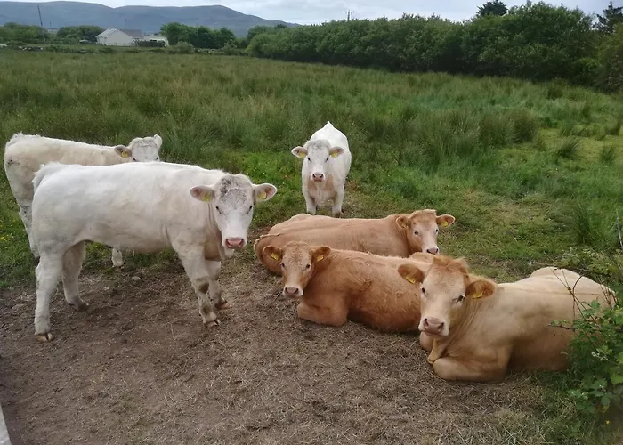 Ivy Steps From National Park 펜션 *