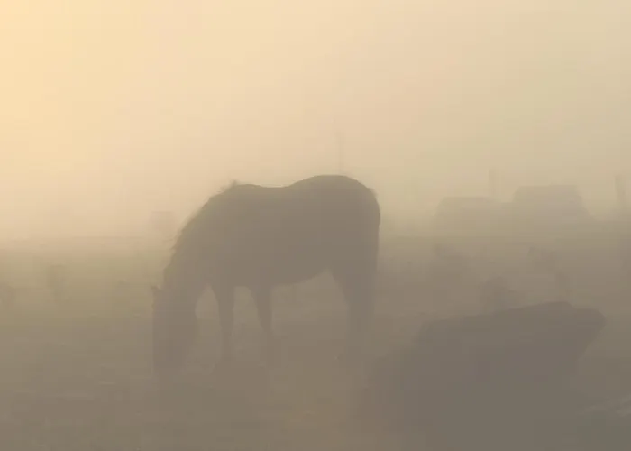Ivy Steps From National Park 펜션 *
